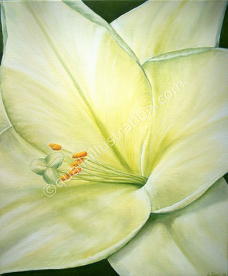 Lily in Oil on canvas