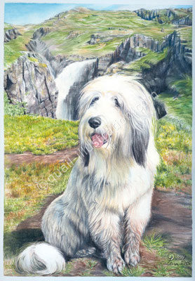 Hundeportrait mit Lnadschaft in Gouache