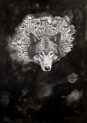 "Lobo nahual", Kuli Zeichnung und Tusche auf Papier, 27cm x 17cm