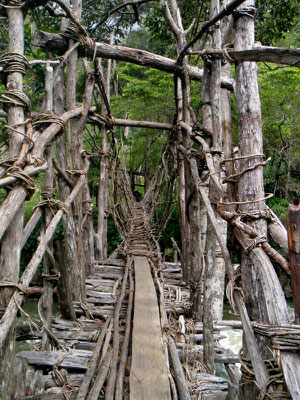 Hängebrücke, gänzlich aus Naturfasern gefertigt