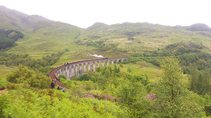 Über den Glenfinnan Viadukt fährt bei Harry Potter der Hogwartsexpress.