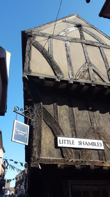 The Shambles - historische kleine Straße in York mit hübschen Fachwerkhäusern.