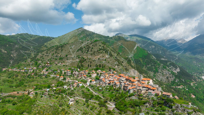 Venanson