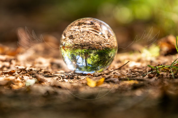 Lensball