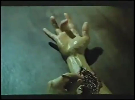 Exploitations sind für einen mehr oder wenigen subtilen Ideenklau bekannt...aber wer hat nur Arnie' s Hand geklaut?