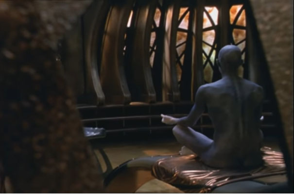 die wundervolle Virginia Hey von hinten