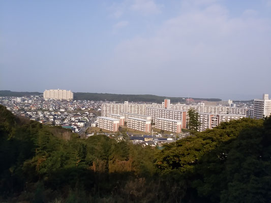 鹿部山から玄界灘を望む