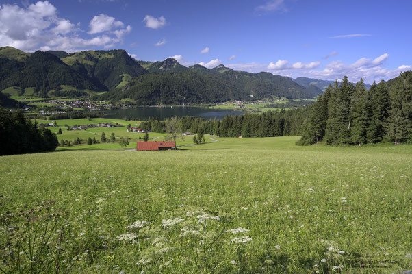 Wiesen oberhalb vom Walchsee