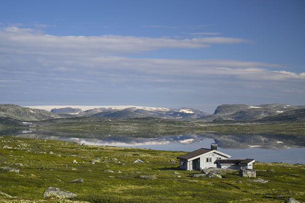 Storekraekkja, Hardangervidda