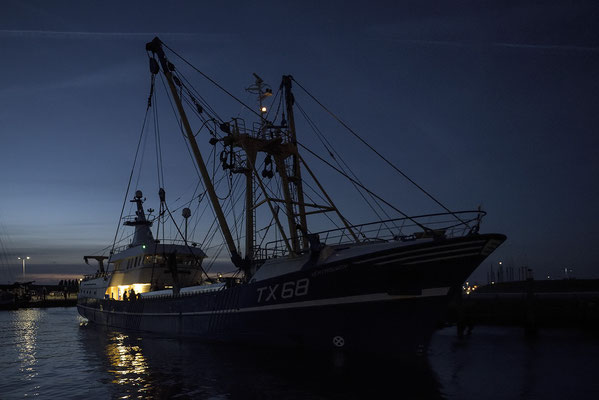 Fischerboot verlässt den Hafen von Oudeschild