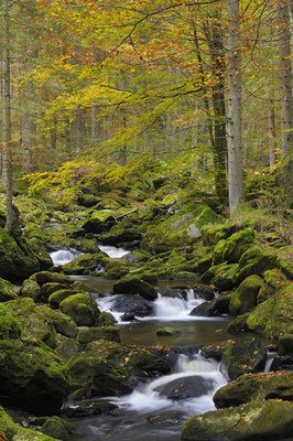 Große Ohe, Steinklamm, NP Bayerischer Wald (D)