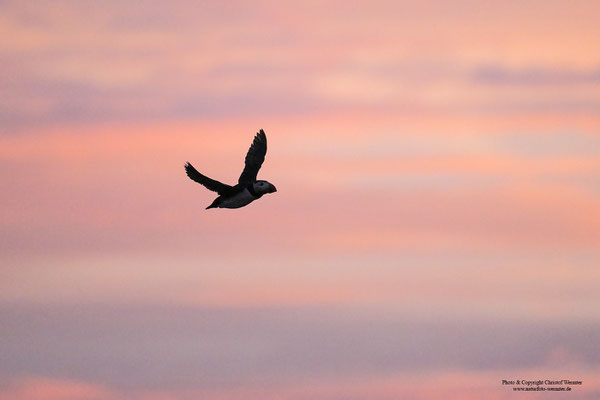 Bei Sonnenuntergang