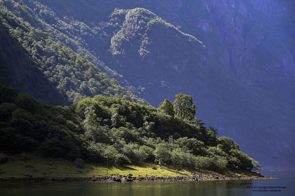 Naeroyfjord