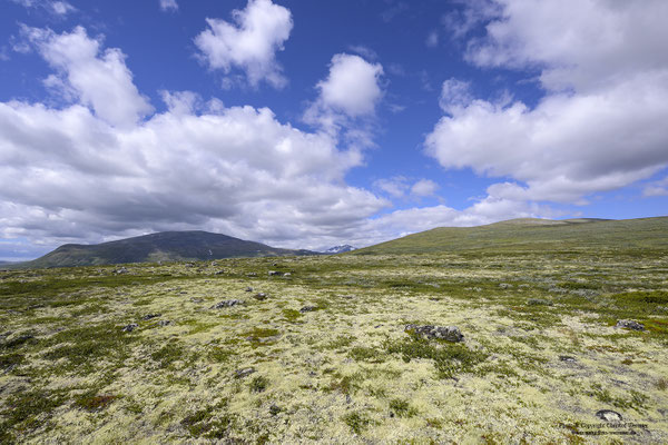 Dovrefjell