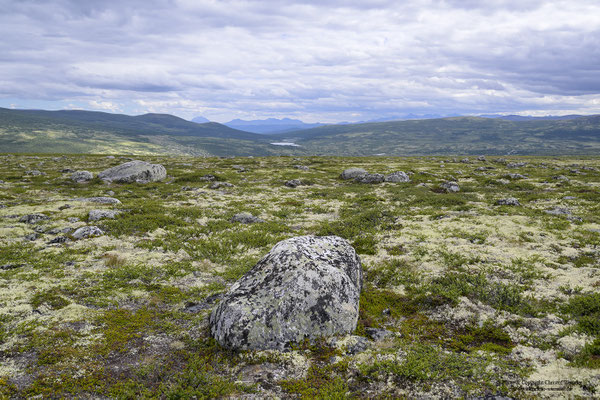 Dovrefjell