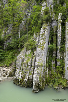 Felsformation in der Klobensteinschlucht