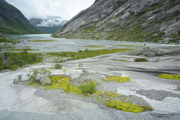 Nigardsbreen