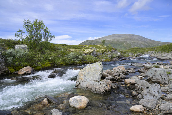 Dovrefjell
