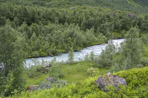 Fluss Austerdalselvi