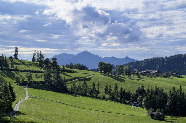 Wiesen und Berge