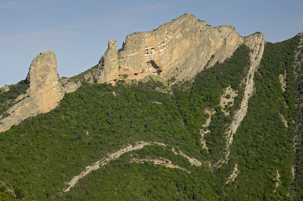 Brutfelsen des Gänsegeiers (E)