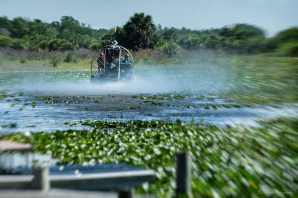 power of Airboat (Florida) Everglades