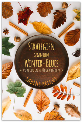Ebook Premade Cover Nr. HP-140 /19,- €