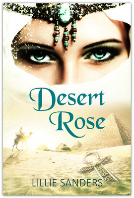 Ebook Premade Cover Nr. HP-41 / 49,- €