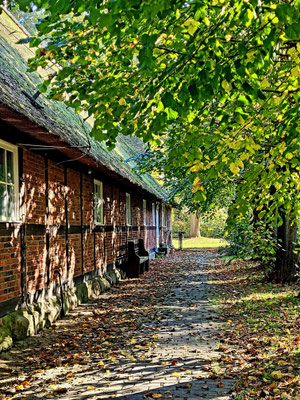 Herbstimpressionen