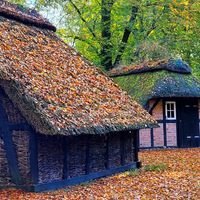 Herbstimpressionen