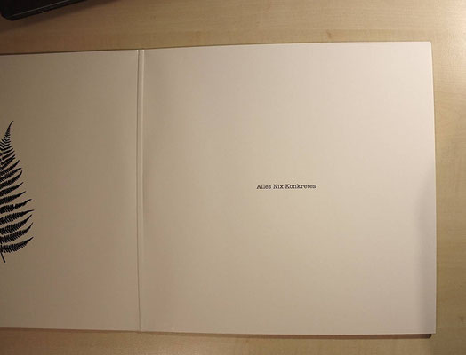 Aufgeklapptes Vinyl-Album (GAT)