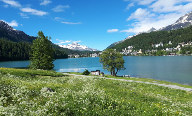 St.Moritz mit See und Piz La Margna