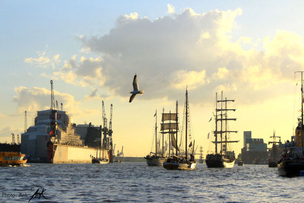 _830. Hafengeburtstag_ Hamburg, Elbe - Foto: Mai 2019 (c)Anka