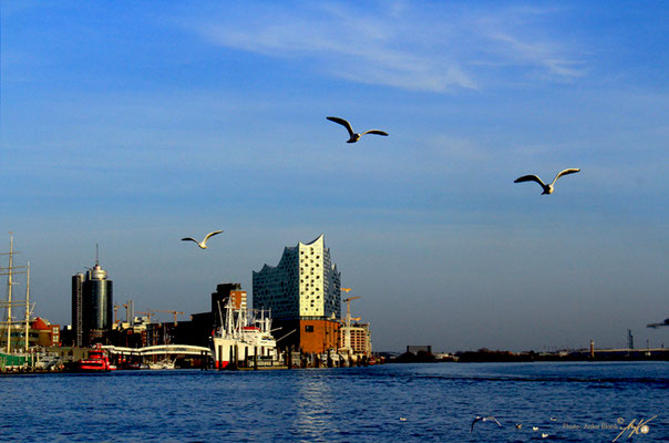 Hamburg / Elbphilharmonie / Elbe 2021. Foto (c)Anka Blank