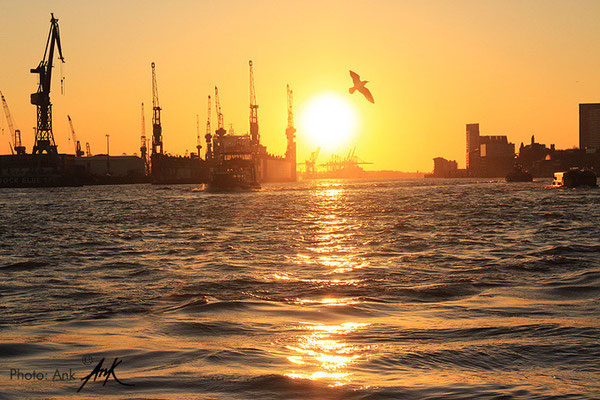 _Longing_ Hamburg along the waterfront, Foto: (c)Ank, 4/2015