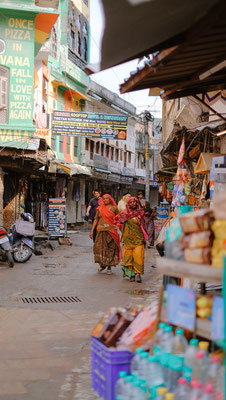 Unterwegs in Rajasthan .Gruppen Rundreise Nord Indien