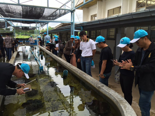 Class of 2017 on a field trip to Laem Phak Bia Environmental Research and Development Project. Photo credit: IOI Thailand