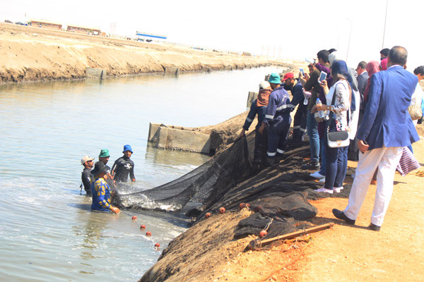 The participants and lecturers visited Suez Canal Aquaculture Company where they saw one of the promising aquaculture projects in the area