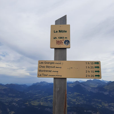 Au sommet du Môle