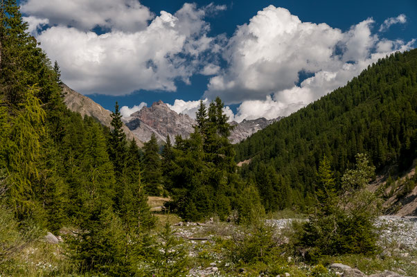 Schweizer Nationalpark Engadin