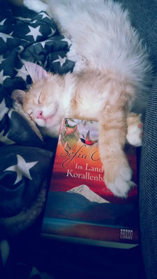 Beim Lesen eingeschlafen....