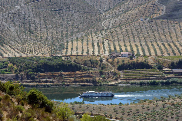 © Douro Azul