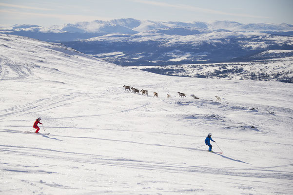 Are ski resort, Sweden - Ola Matsson, SkiStar 