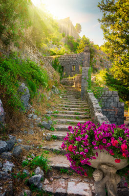 Kotor nature copyright  givaga