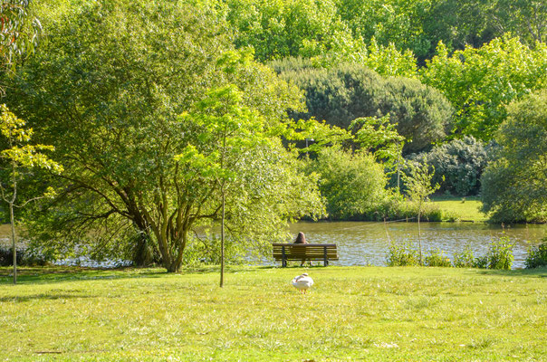 Parque da Cidade, Porto City Park © European Best Destinations