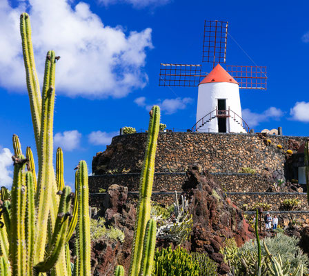 Lanzarote - European Best Destinations - Garden of Cactus in Lanzarote Copyright  leoks 