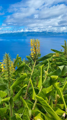 Sustainable tourism in Faial - Azores - Copyright Coprimido