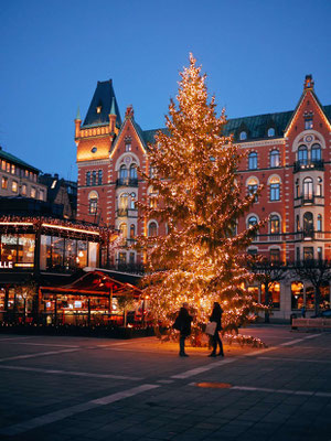 Christmas tree in Stockholm - Copyright Visit Stockholm