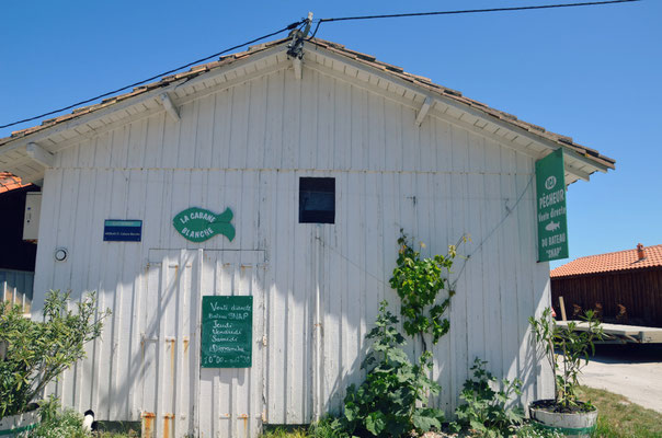 Cap-Ferret