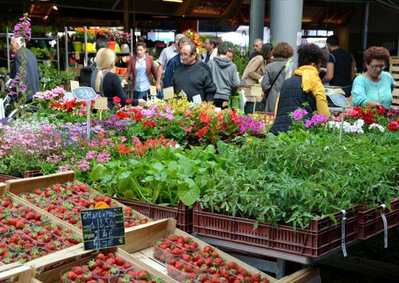 Marché-des-Capucins-Bordeaux